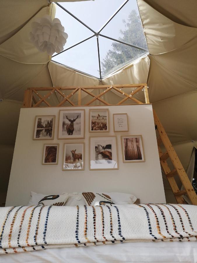Medve Dome - Luxury Camping In The Middle Of Nature Hotel Vlahita Bagian luar foto